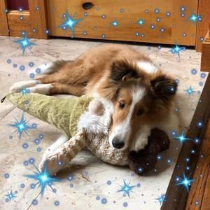 Meet your Posher, Patti